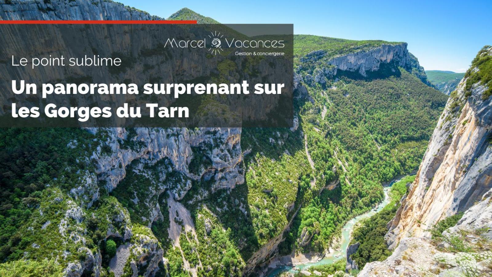 Gorges Du Tarn Gite En Pierres Avec Terrasse Quezac  ภายนอก รูปภาพ